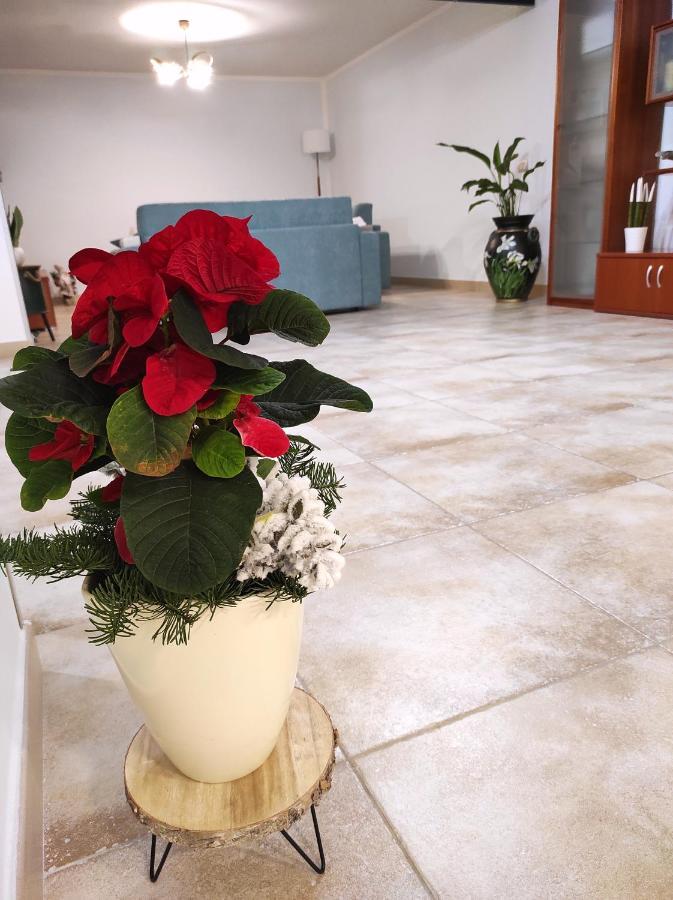 Dadilo - Casa Vacanza & Bed And Breakfast Contursi Εξωτερικό φωτογραφία
